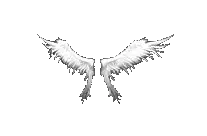 Wings Of Heaven Mu Online