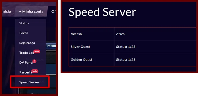 A seção Speed Server no painel da conta.